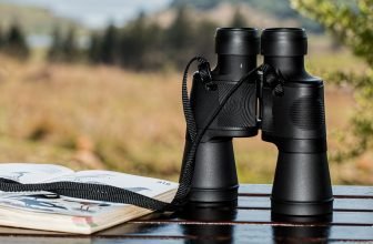 Structure des jumelles